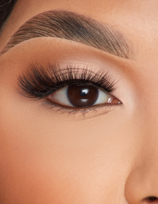 P.Louise Lashes - Feather Flair