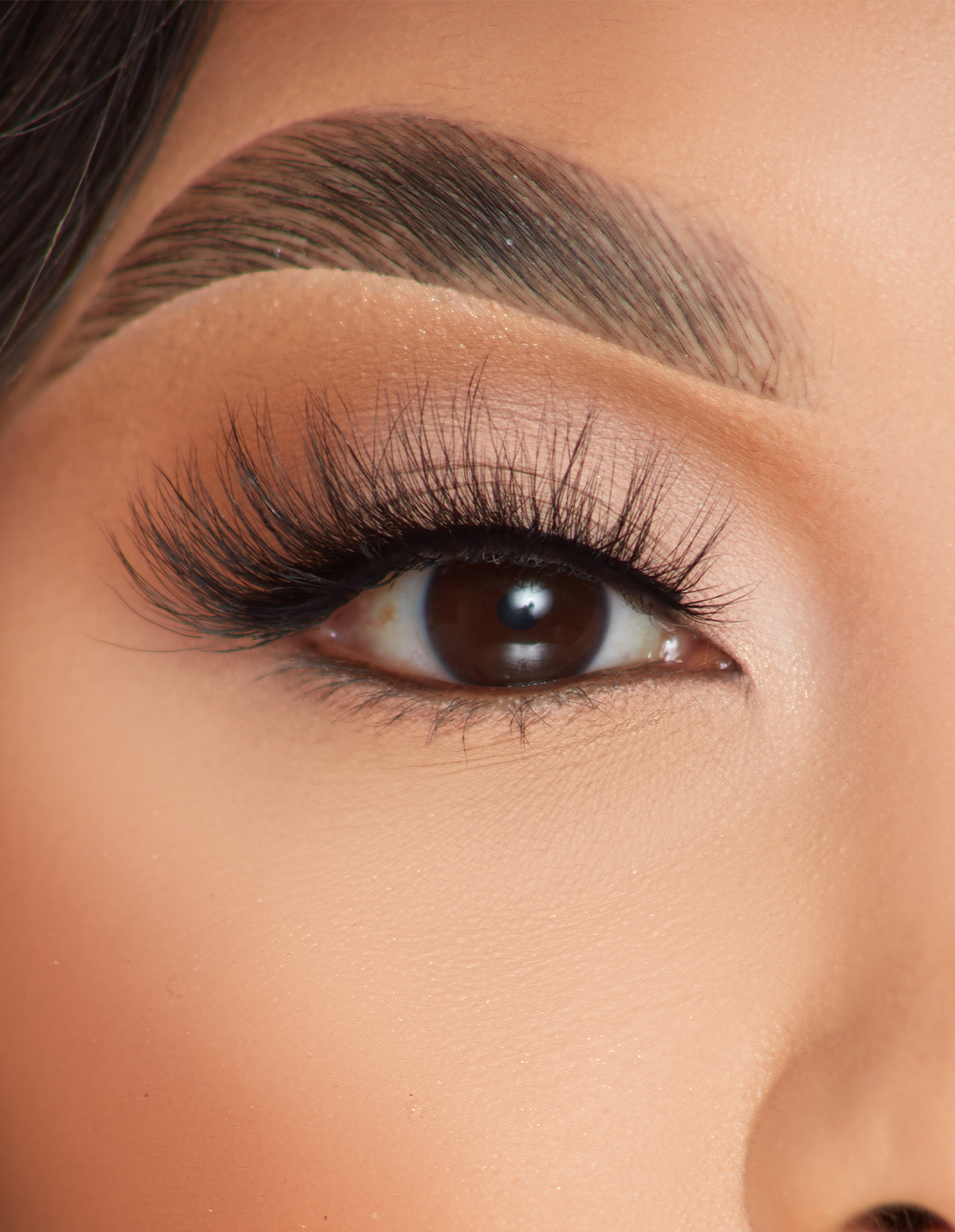 Cils Foxy Flicks