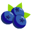 Myrtille